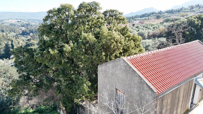 Image No.8-2 Bed Villa for sale