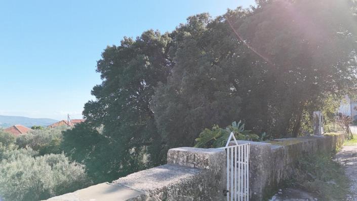 Image No.11-2 Bed Villa for sale