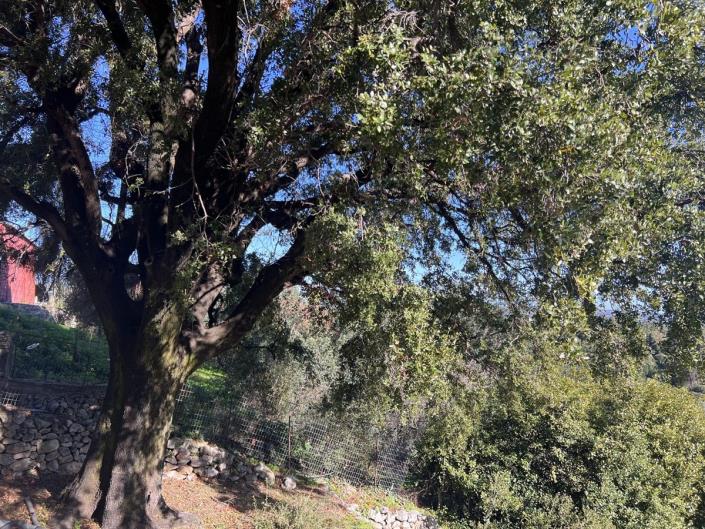 Image No.19-2 Bed Villa for sale