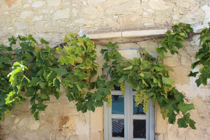 Image No.9-15 Bed Hotel for sale