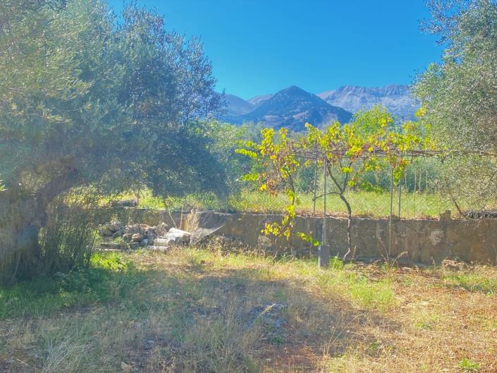 Image No.27-3 Bed House for sale