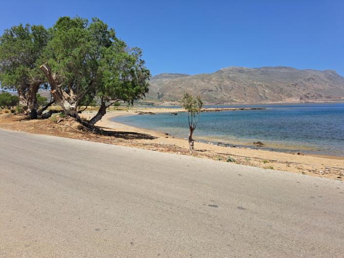 Image No.9-Land for sale