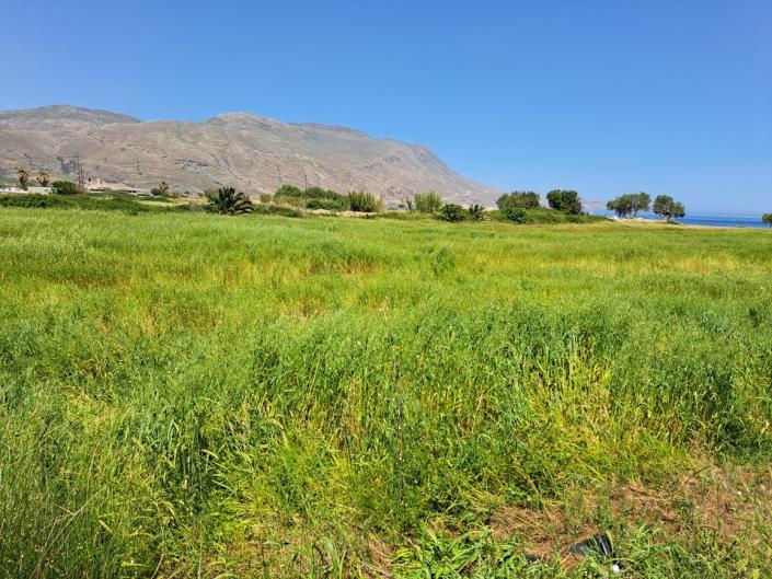 Image No.13-Land for sale