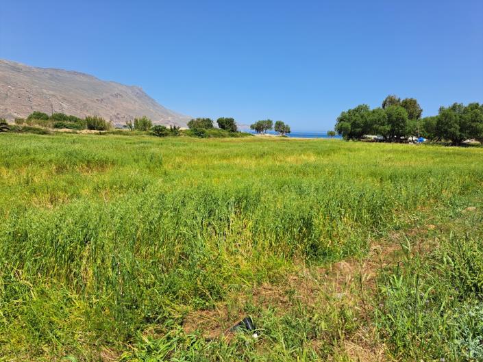 Image No.14-Land for sale