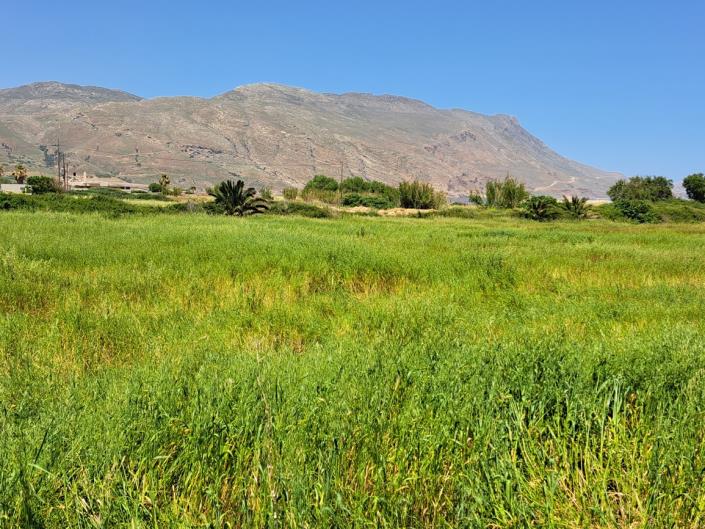 Image No.16-Land for sale