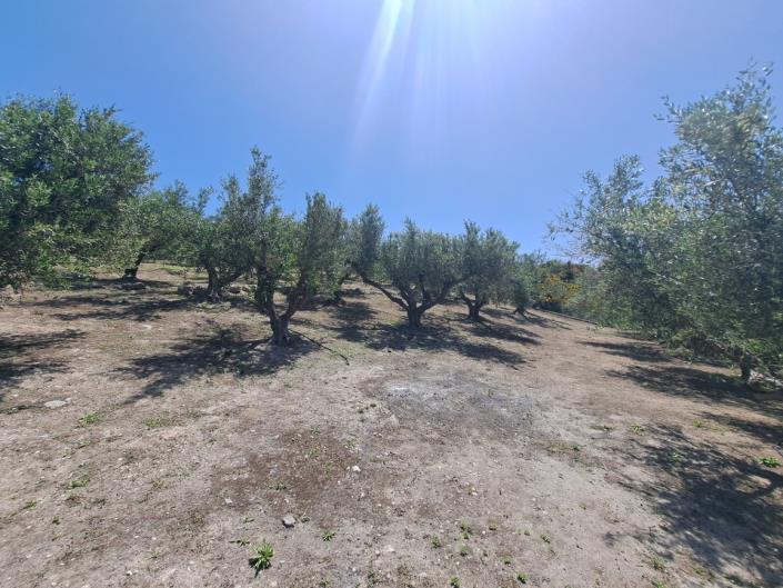 Image No.5-4 Bed Villa for sale