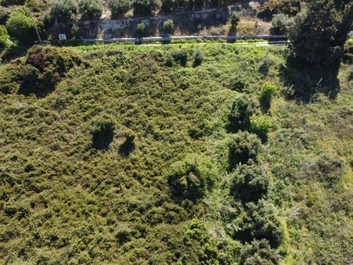 Image No.5-Land for sale