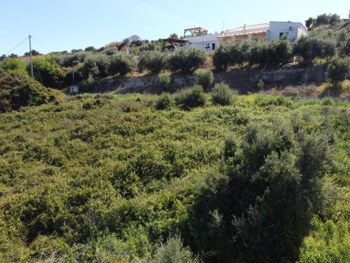 Image No.8-Land for sale