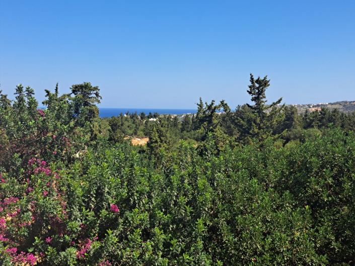 Image No.10-1 Bed Apartment for sale