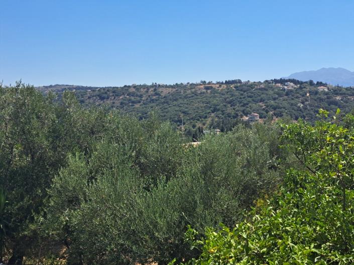 Image No.19-3 Bed House for sale