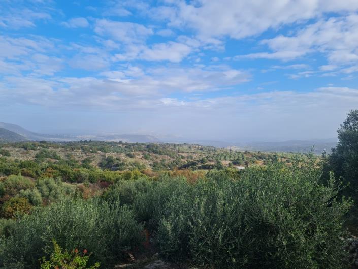 Image No.22-4 Bed House for sale