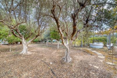 212aabf5b24147a6adea954aeeff9cb0