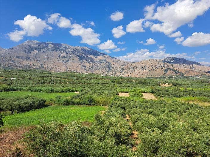 Image No.15-2 Bed Villa for sale