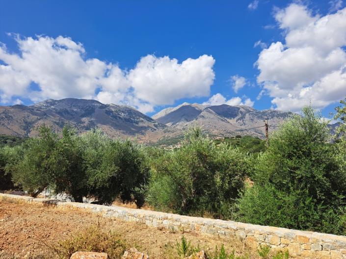 Image No.13-3 Bed Villa for sale