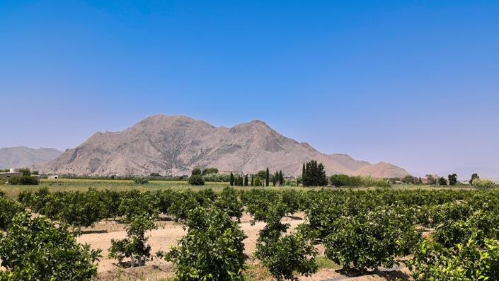 Image No.2-3 Bed Bungalow for sale