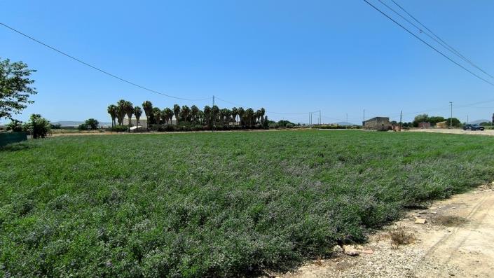 Image No.32-3 Bed Bungalow for sale