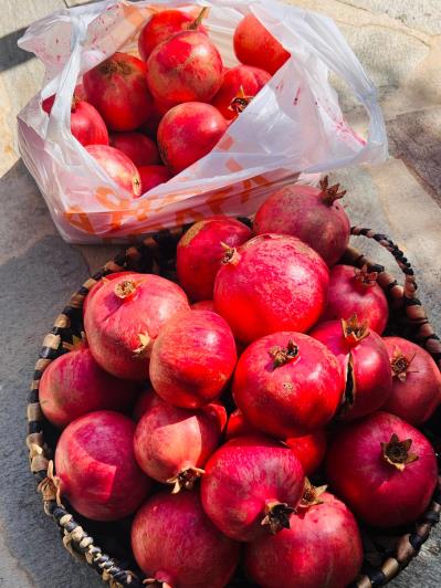 Image No.20-4 Bed Villa for sale