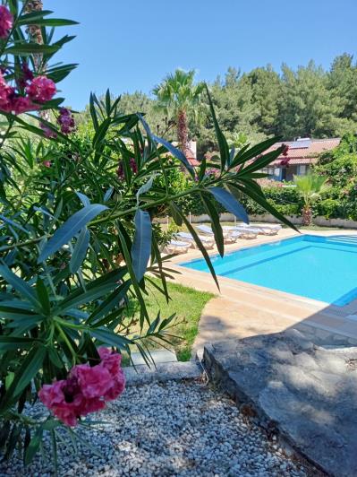 Image No.3-4 Bed Villa for sale