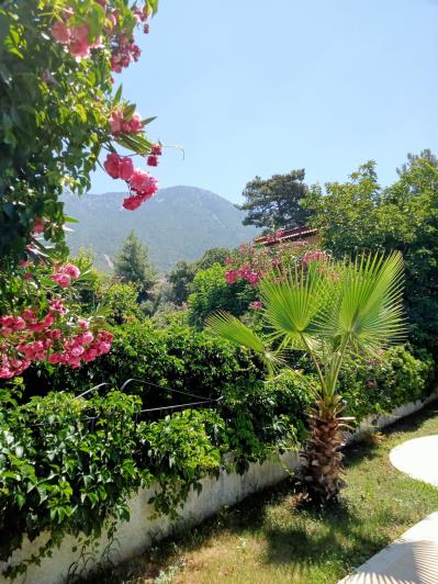 Image No.18-4 Bed Villa for sale