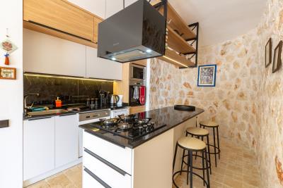 villa_sefa_need_company-21