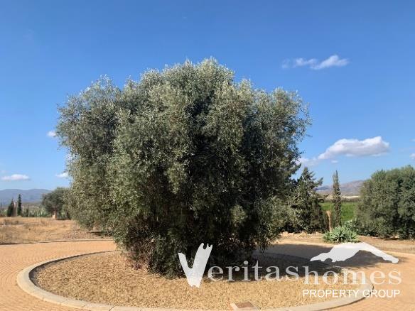 Image No.18-5 Bed Villa for sale