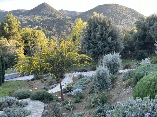 Image No.22-2 Bed Villa for sale