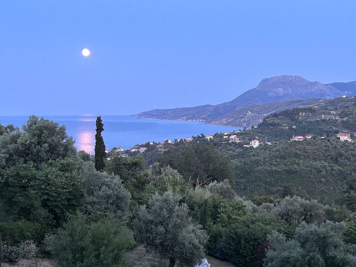 Image No.4-2 Bed Villa for sale