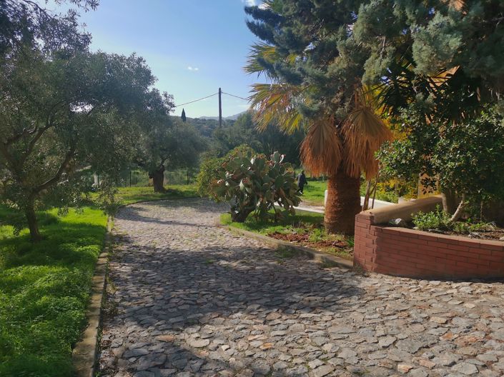 Image No.4-3 Bed Villa for sale