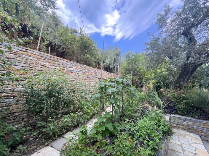 Image No.17-5 Bed Village House for sale