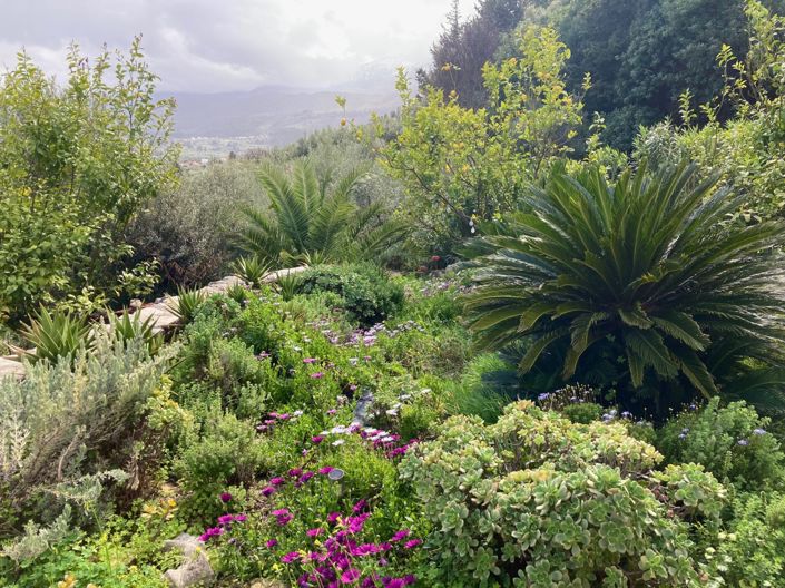 Image No.22-2 Bed Village House for sale