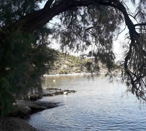 elxis-at-home-in-greeceamoni-horizon-nest28