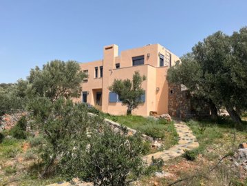 elxis-at-home-in-greeceolive-orchard-exo-lakk