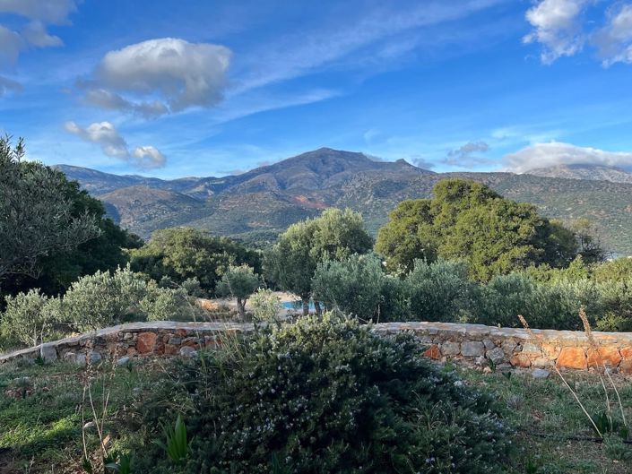 Image No.5-4 Bed Villa for sale