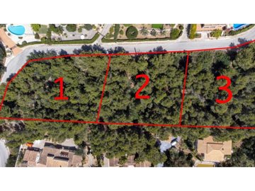 id806f7601-0000-0500-0000-0000126311cf