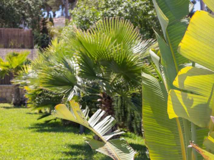 Image No.36-3 Bed Villa for sale