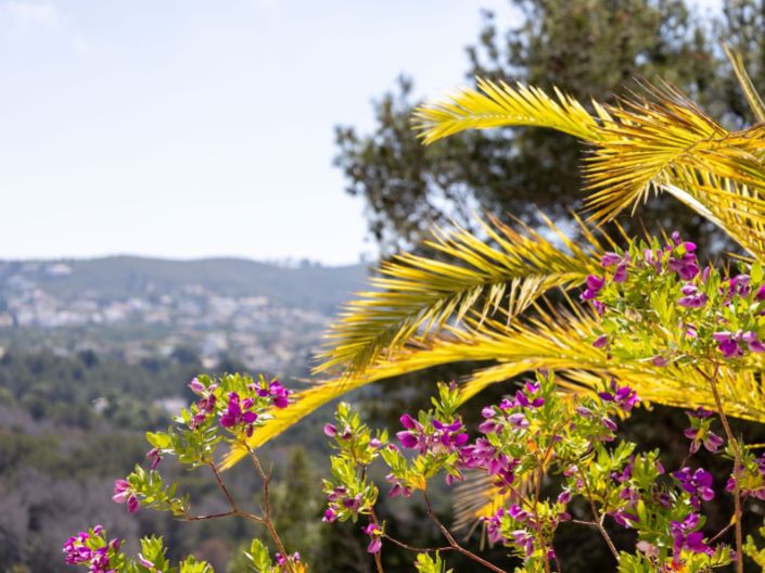 Image No.40-4 Bed Villa for sale