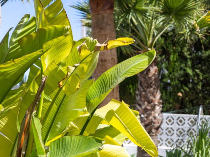 Image No.47-4 Bed Villa for sale