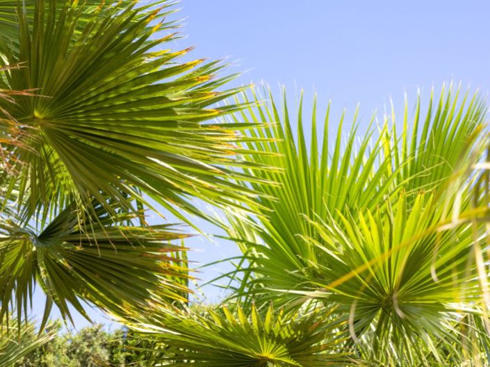 Image No.49-4 Bed Villa for sale