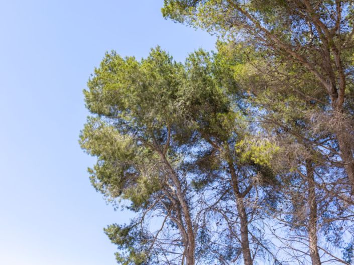 Image No.37-3 Bed Villa for sale