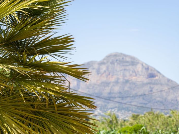 Image No.39-3 Bed Villa for sale