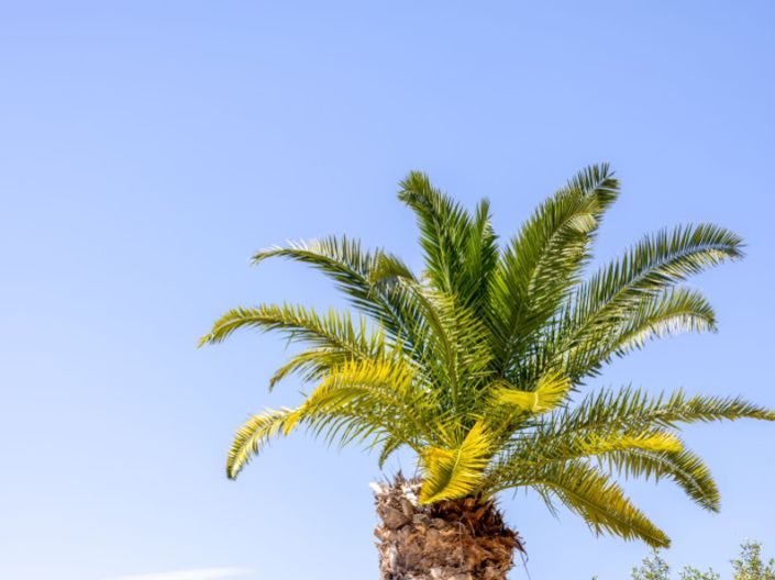 Image No.43-3 Bed Villa for sale