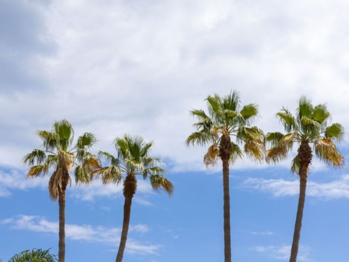 Image No.33-6 Bed Villa for sale