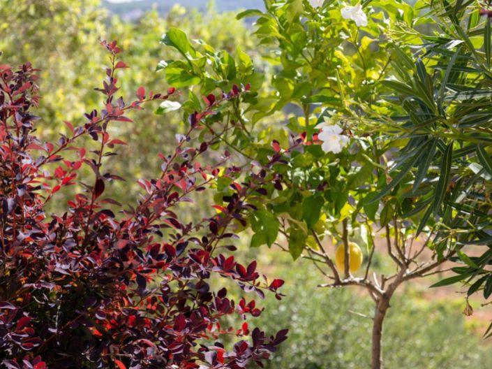 Image No.32-4 Bed Villa for sale