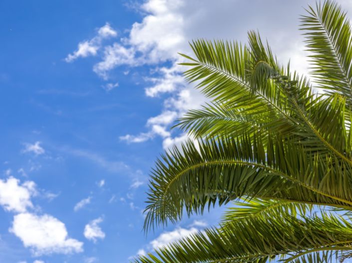 Image No.42-2 Bed Villa for sale