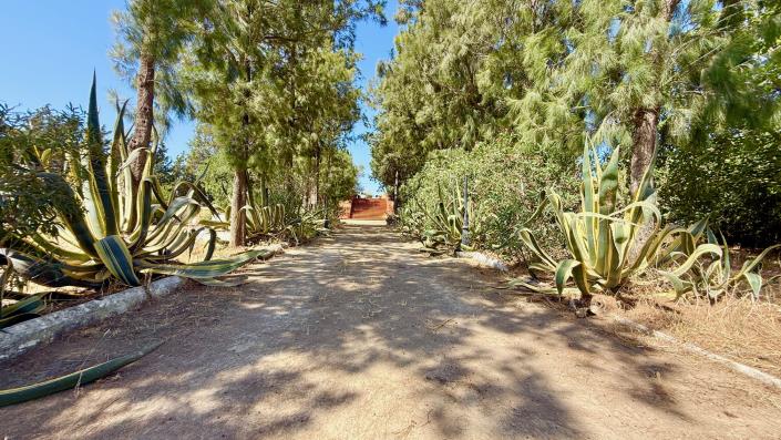 Image No.31-3 Bed Country House for sale