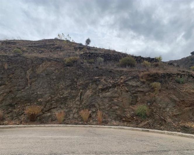 Image No.2-Land for sale