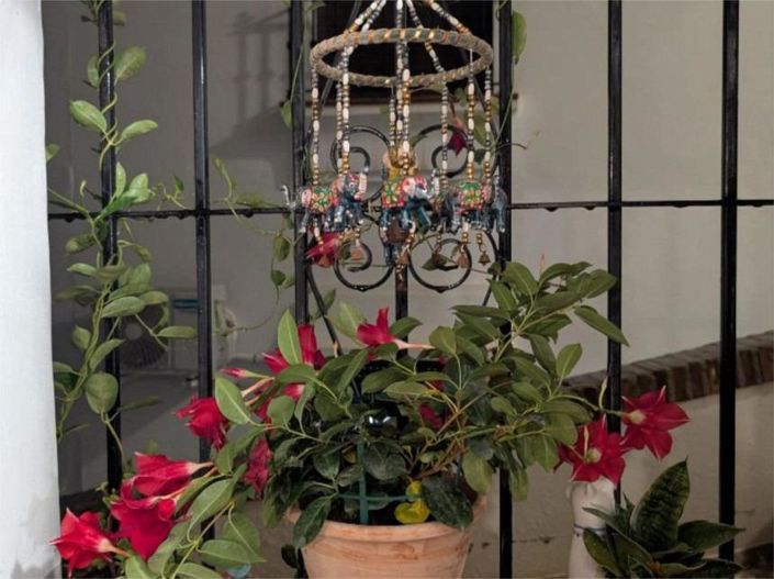 Image No.12-1 Bed Property for sale