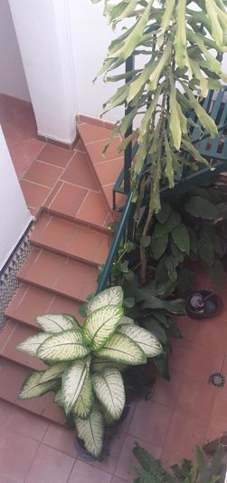 Image No.23-13 Bed Property for sale