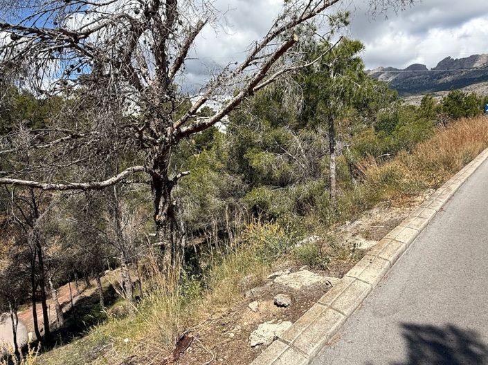 Image No.4-Plot for sale