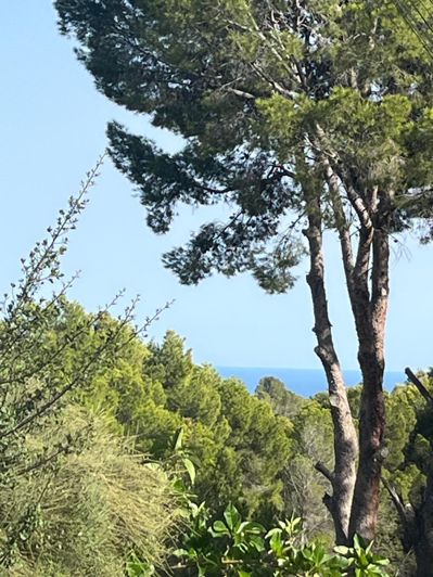 Image No.3-Plot for sale